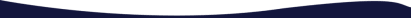 Bottom Wave Border Blue