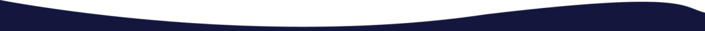 Bottom Wave Border Blue